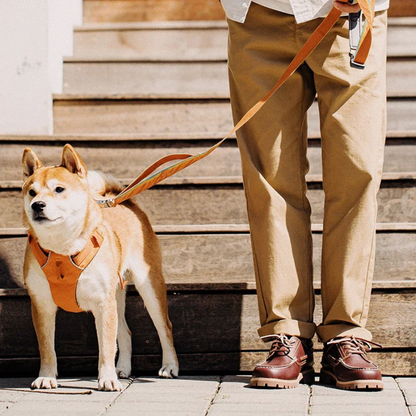 Hamilton Leather Boat Shoe